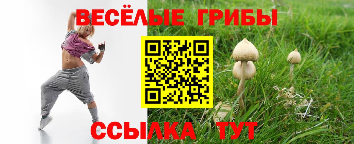 Карпинск  Галлюциногенные грибы прущие грибы  Вход с VPN 